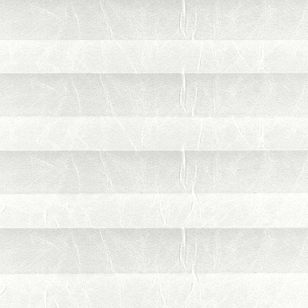 3101