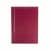 VICTORIA M Aluminium Jalousie | 120 x 220 cm, weinrot matt