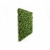 JAROLIFT Künstliche Pflanzenwand | Gardenienblätter, 200 x 100 cm
