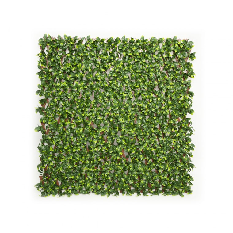 JAROLIFT Künstliche Pflanzenwand | Gardenienblätter, 200 x 100 cm