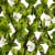 JAROLIFT Künstliche Pflanzenwand | Blumen, 200 x 100 cm