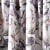 Verdi Collection Vorhang mit Schlaufenband - Blumenmuster | blickdicht, 140 x 245 cm, aubergine