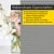 Jalousiescout Pure Wabenplissee | verdunkelnd, 45 x 160 cm, grau