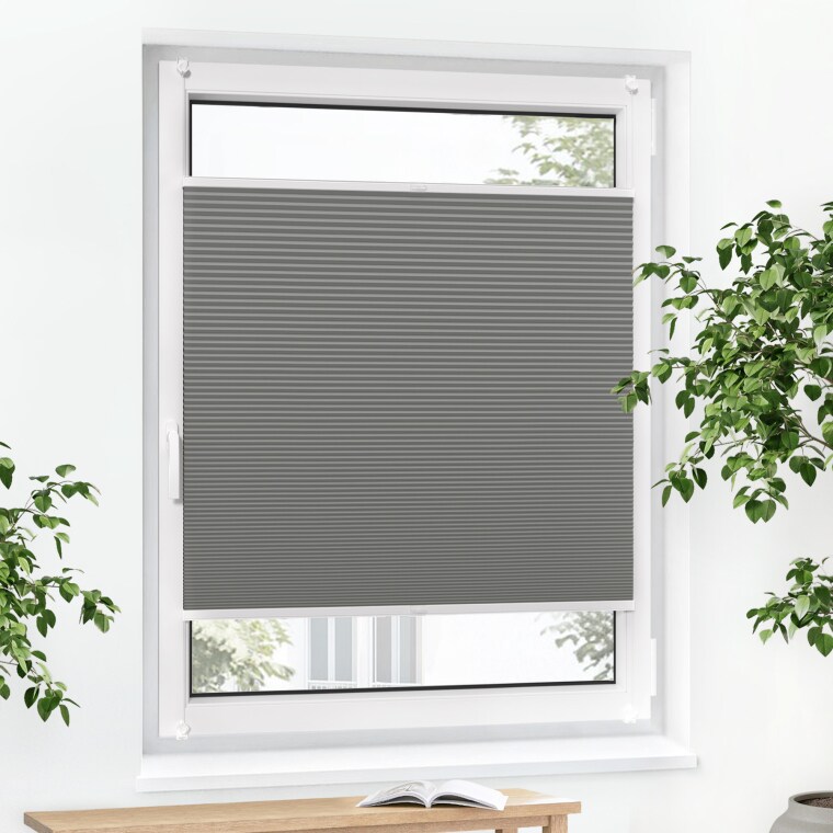 Jalousiescout Pure Wabenplissee | verdunkelnd, 60 x 170 cm, grau