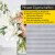 Jalousiescout Pure Plissee | Basic, Polyester-Stoff, 120 x 200 cm, creme
