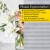 Jalousiescout Pure Plissee | Basic, Polyester-Stoff, 60 x 160 cm, creme