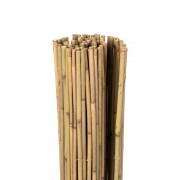 JAROLIFT Premium Bambus-Sichtschutzmatte (Typ nach Wahl)